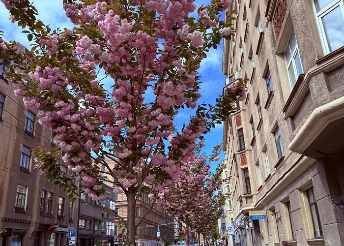 Novia & Free Parking & Self Check In